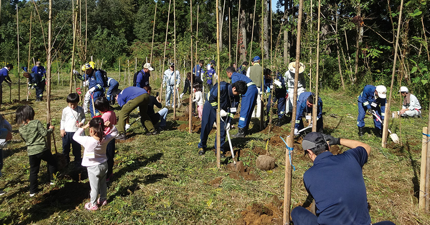 Planting trees as part of the Donguri-no-Mori project (photo)