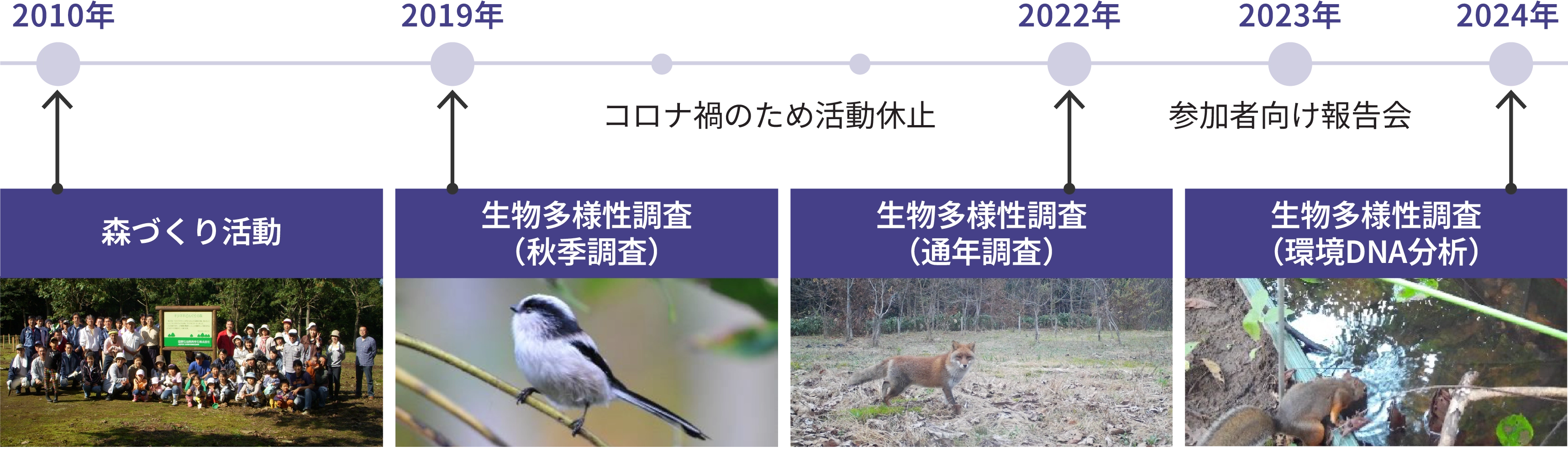 「キツネ平どんぐりの森」における森づくり活動 (グラフィック)