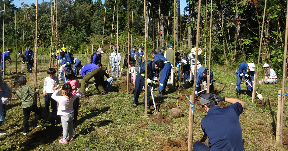 Planting trees as part of the Donguri-no-Mori project (photo)