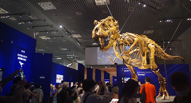 Dino Expo (photo)