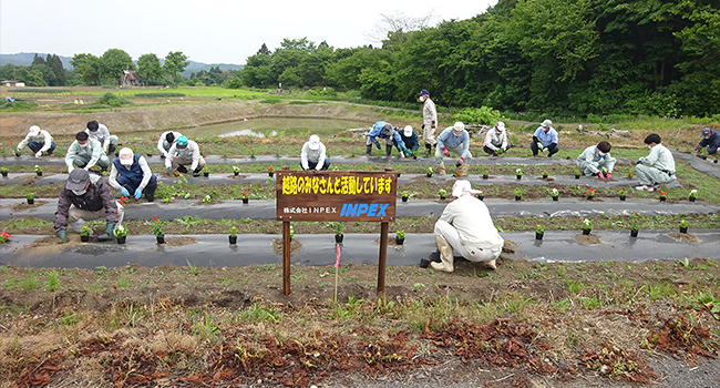 maintaining flower beds in Niigata (photo)